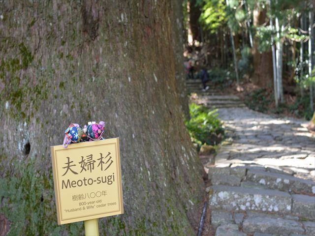 f:id:tokotokodeni:20170128110741j:plain f:id:tokotokodeni:20170128110741j:plain