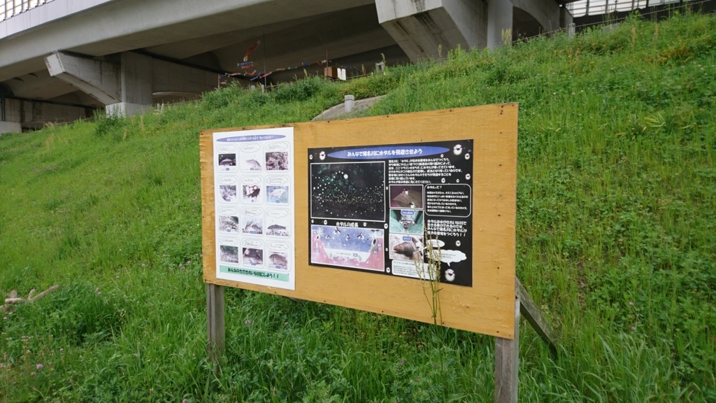 f:id:tokotokodeni:20180427063309j:plain f:id:tokotokodeni:20180427063309j:plain