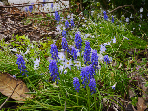 f:id:tokoyakanbannet:20180407125536p:plain