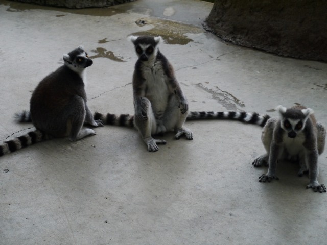 f:id:tokoyakanbannet:20180906123744p:plain