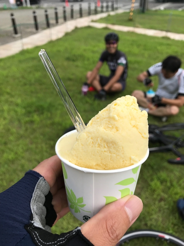 f:id:toku-ishikawa:20180806164857j:plain