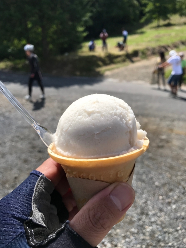 f:id:toku-ishikawa:20180820212002j:plain