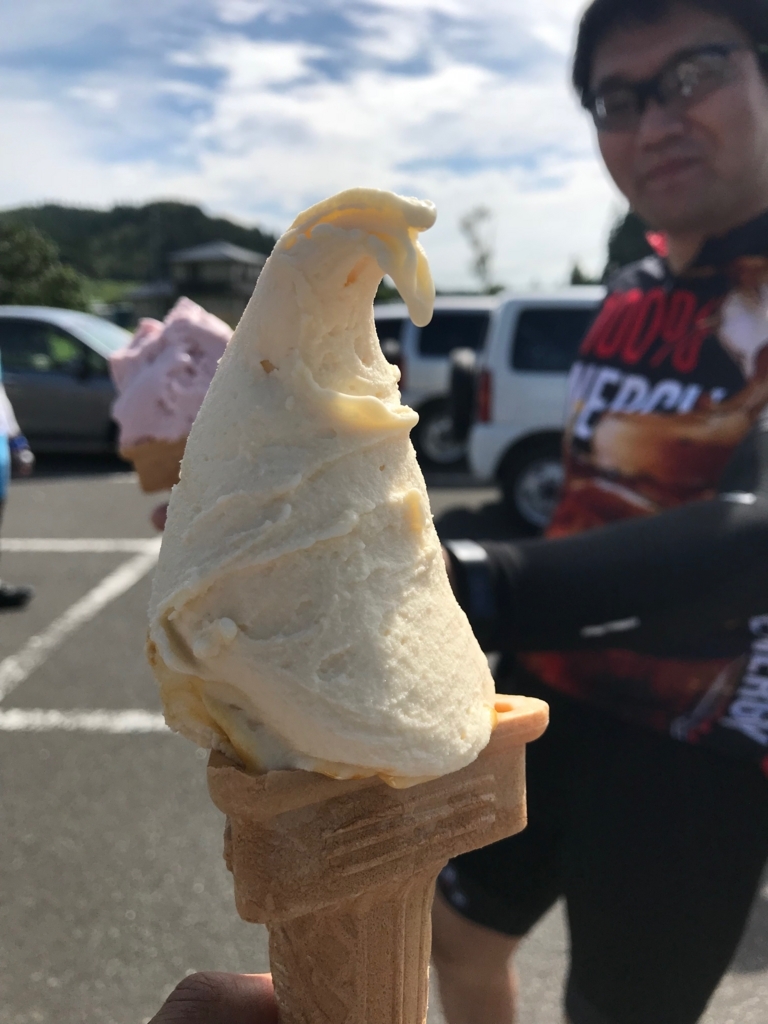f:id:toku-ishikawa:20180820212105j:plain