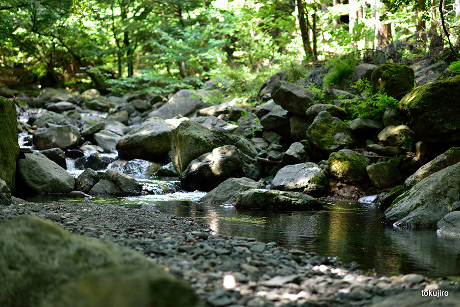 f:id:toku-jiro:20150816064013j:image f:id:toku-jiro:20150816064013j:image
