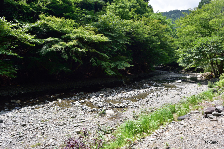 f:id:toku-jiro:20150816064136j:image f:id:toku-jiro:20150816064136j:image