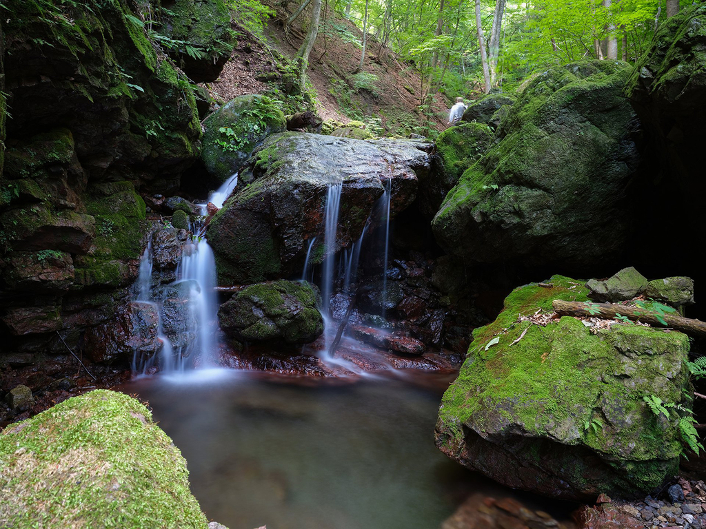 f:id:toku-jiro:20181103192549j:plain f:id:toku-jiro:20181103192549j:plain