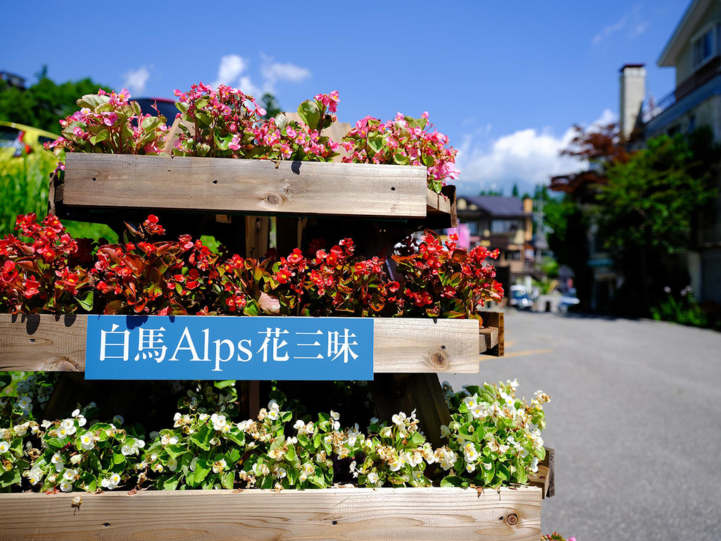 f:id:toku-jiro:20181103194126j:plain f:id:toku-jiro:20181103194126j:plain