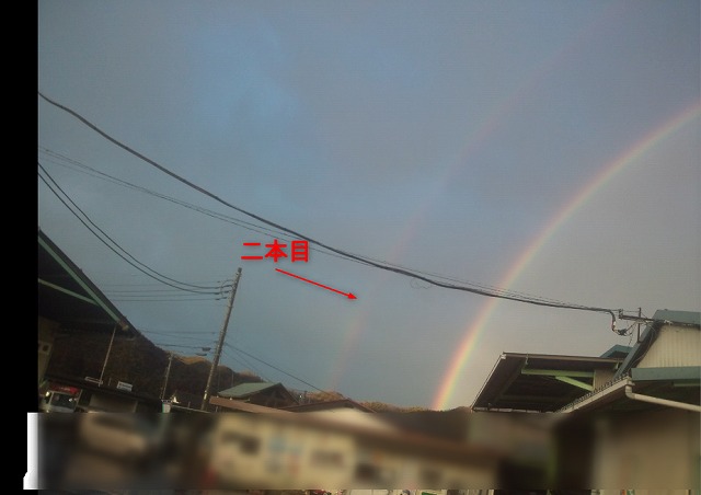 f:id:toku25:20210223154604j:plain