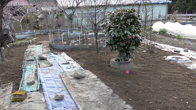 f:id:toku25:20210321173541j:plain