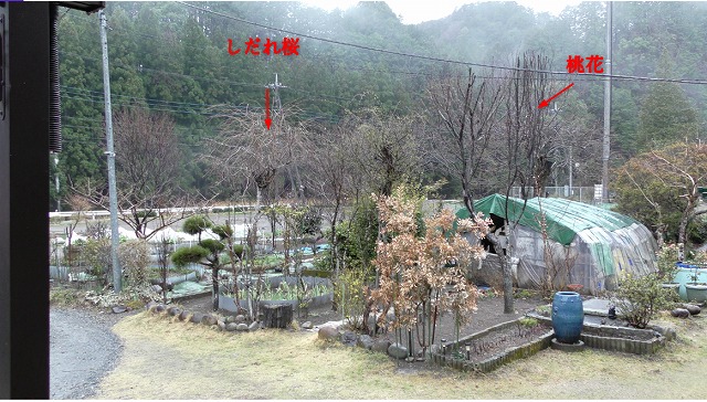 f:id:toku25:20210321174424j:plain