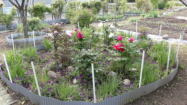 f:id:toku25:20210504064119j:plain