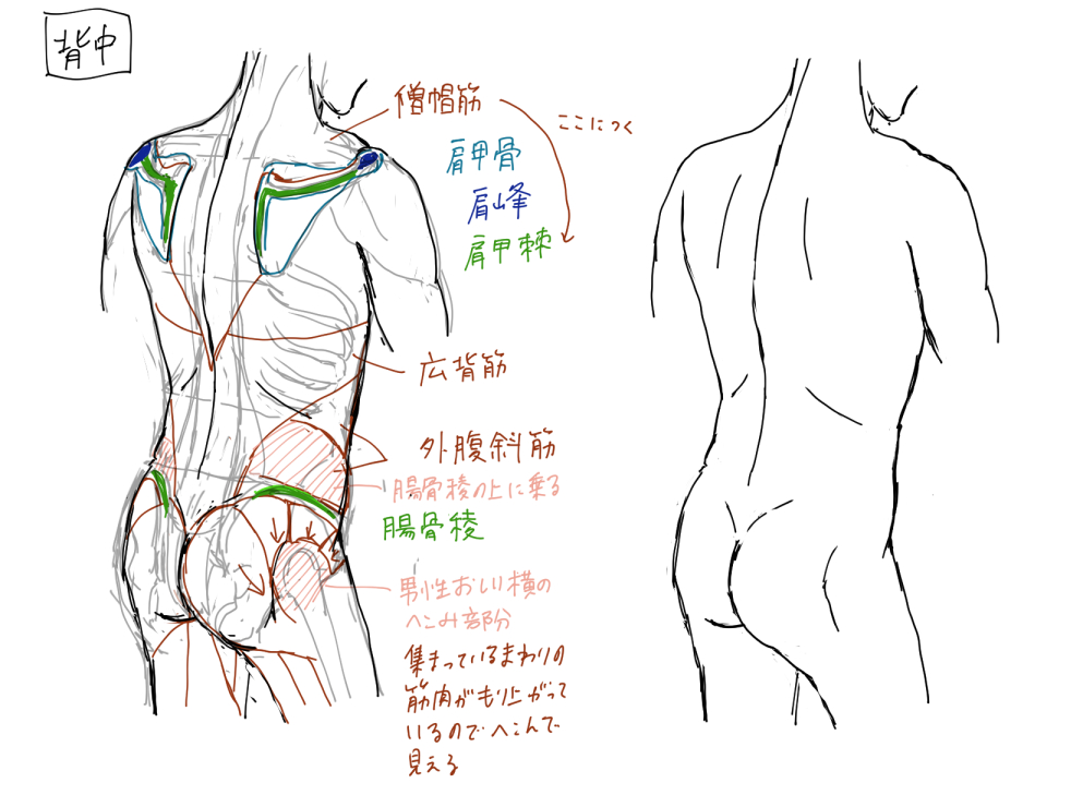 f:id:tokumorimix:20210816144159j:plain