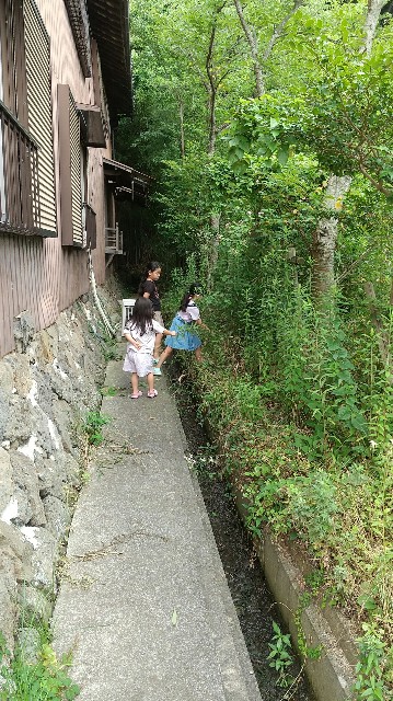 f:id:tokurika:20210629004438j:image f:id:tokurika:20210629004438j:image