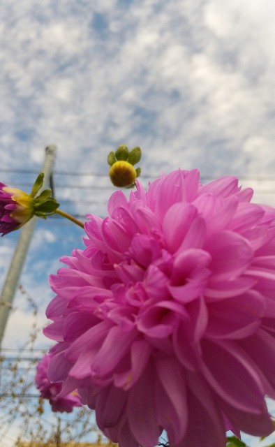 f:id:tokurika:20211028224754j:image f:id:tokurika:20211028224754j:image