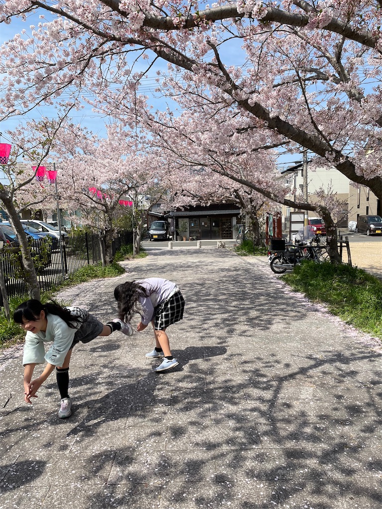 f:id:tokurika:20220409150010j:image f:id:tokurika:20220409150010j:image