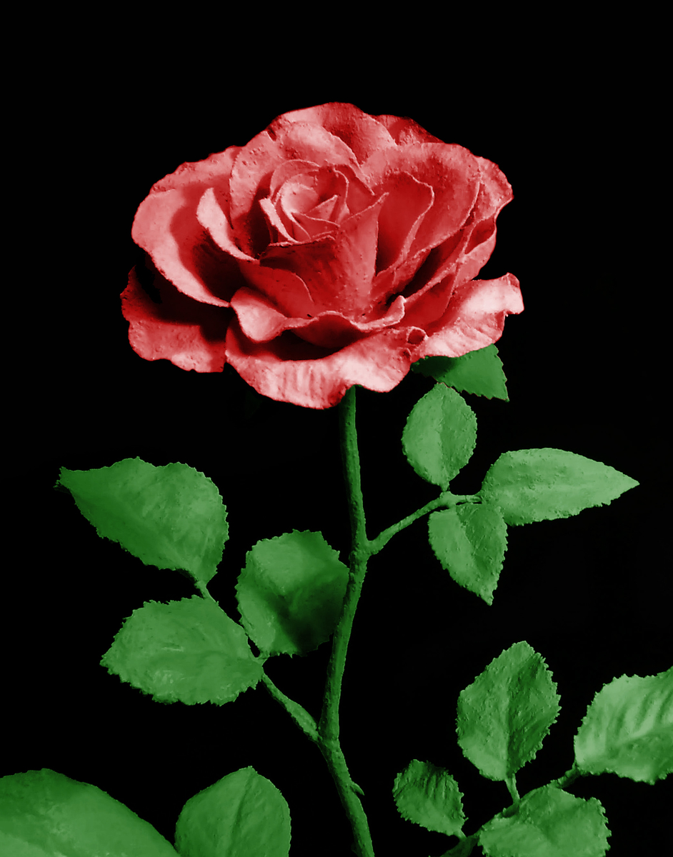 f:id:tokushigeart:20200924140831j:plain f:id:tokushigeart:20200924140831j:plain