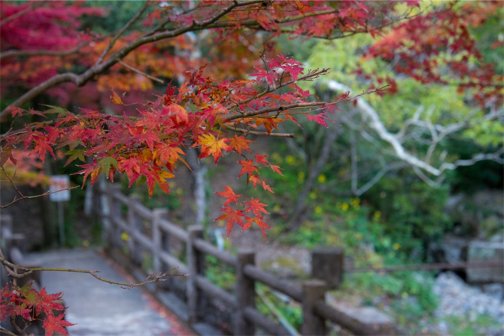 f:id:tokuzou0804:20181111211704j:image f:id:tokuzou0804:20181111211704j:image