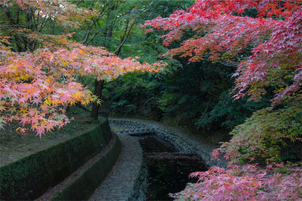 f:id:tokuzou0804:20181111211744j:image f:id:tokuzou0804:20181111211744j:image