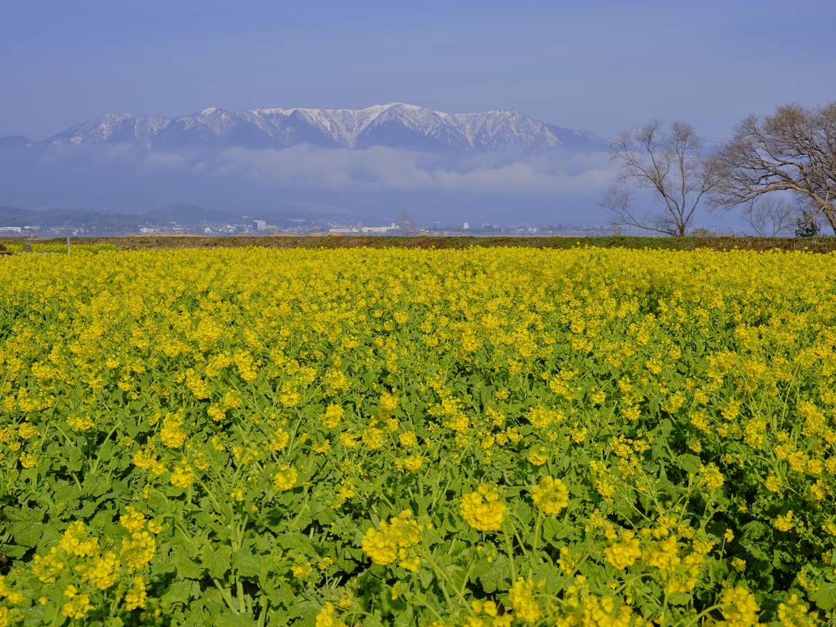f:id:tokyo-14:20220304154745j:plain