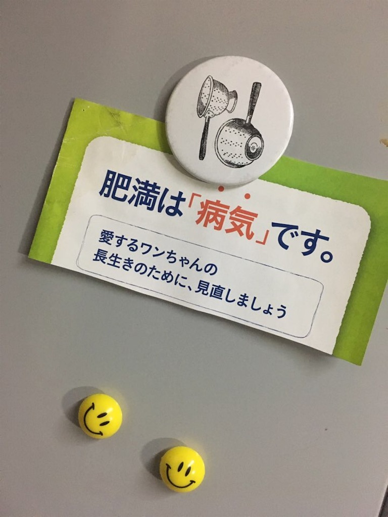 f:id:tokyo-exit:20170104201023j:image f:id:tokyo-exit:20170104201023j:image