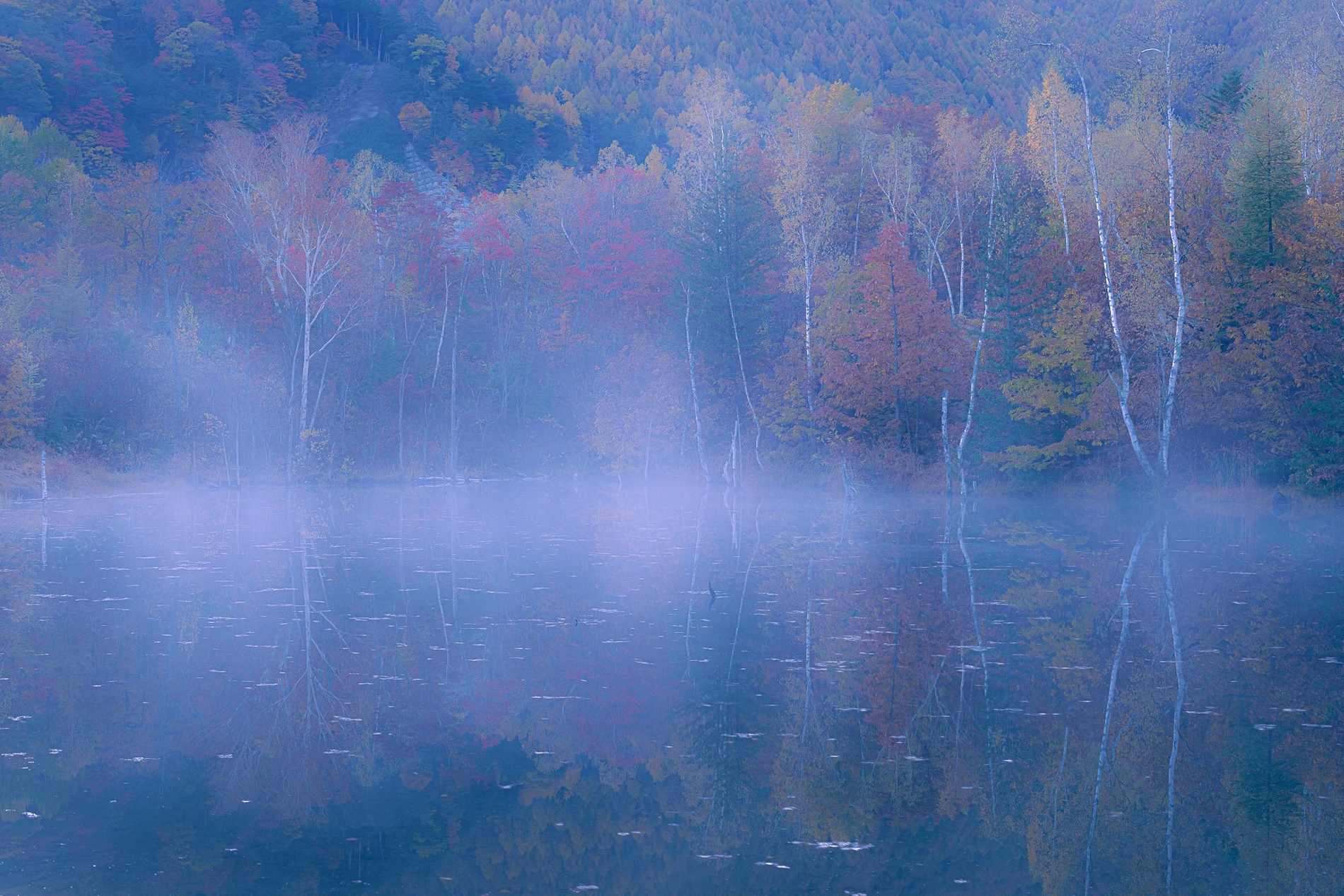 まいめの池の紅葉