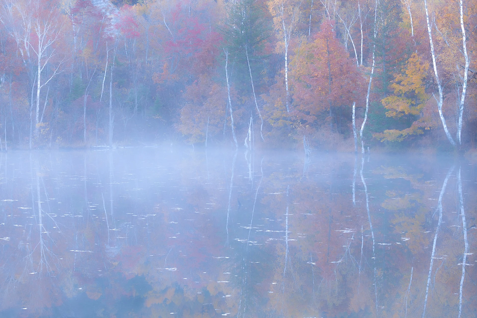 まいめの池の紅葉