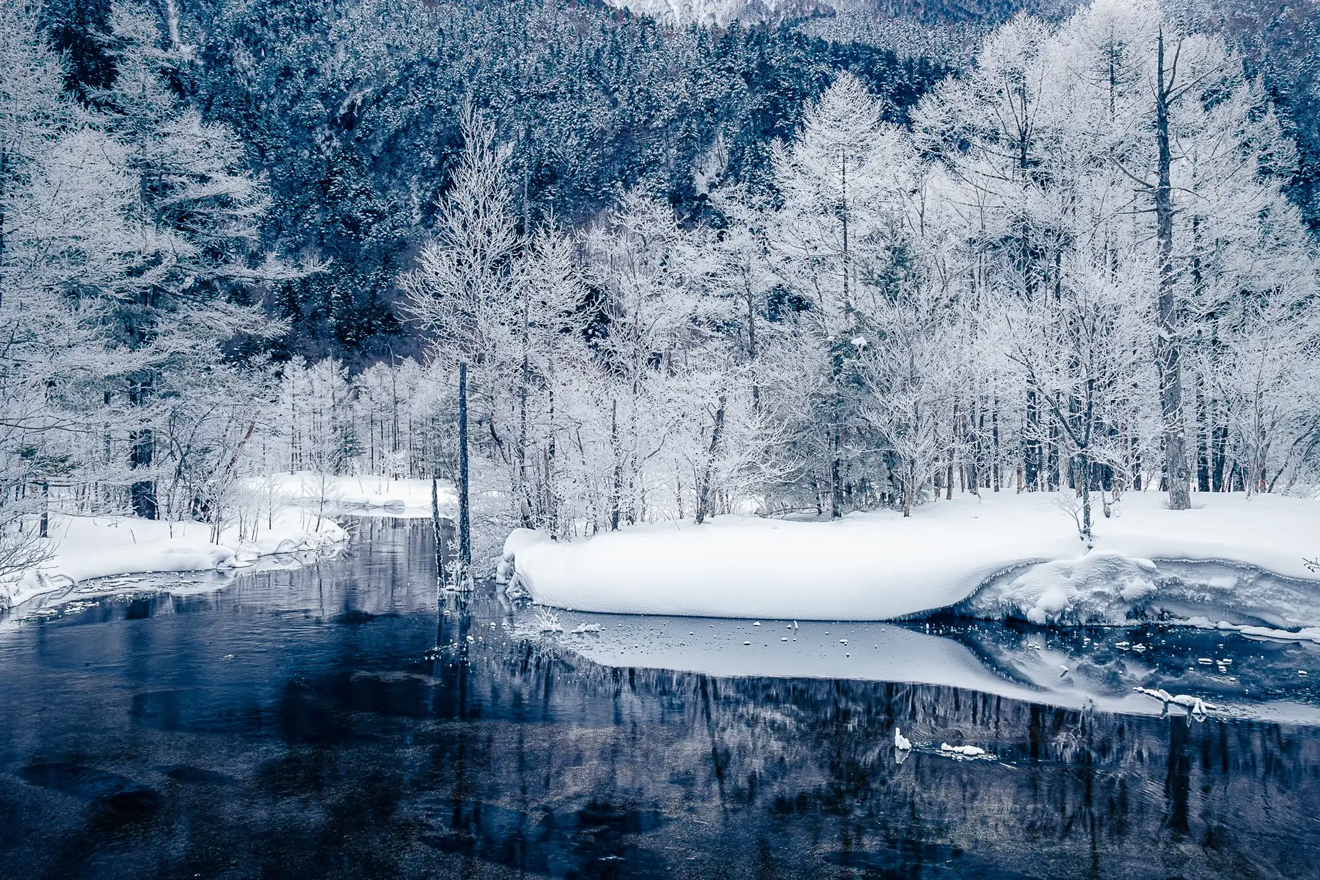 田代池の霧氷