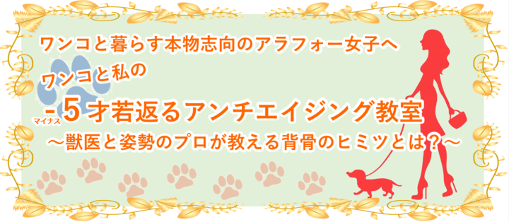 f:id:tokyo-shisei:20190619014124p:plain f:id:tokyo-shisei:20190619014124p:plain