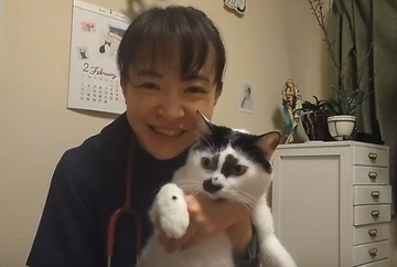 f:id:tokyo-shisei:20190619014359p:plain f:id:tokyo-shisei:20190619014359p:plain
