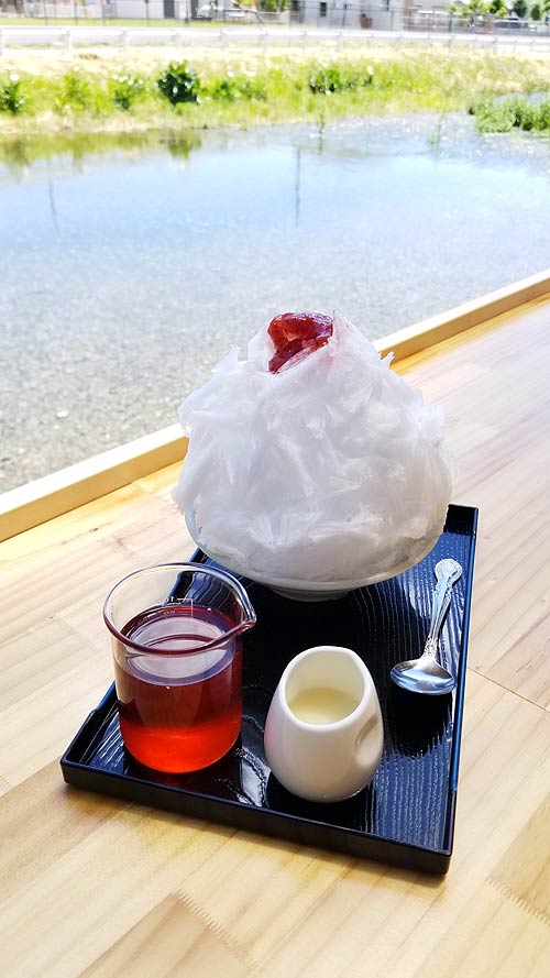 f:id:tokyo-ujikintoki:20180902092442j:plain f:id:tokyo-ujikintoki:20180902092442j:plain