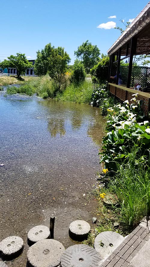 f:id:tokyo-ujikintoki:20180902093227j:plain f:id:tokyo-ujikintoki:20180902093227j:plain