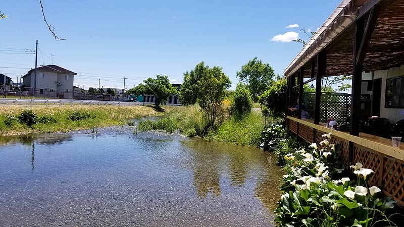 f:id:tokyo-ujikintoki:20180902093812j:plain f:id:tokyo-ujikintoki:20180902093812j:plain