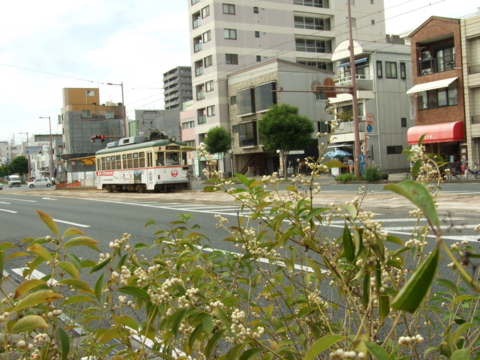 f:id:tokyo100k:20161018231456j:plain