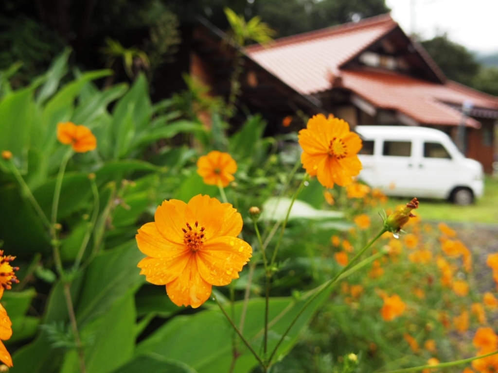 f:id:tokyo100k:20170917205910j:plain f:id:tokyo100k:20170917205910j:plain
