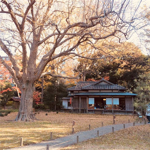 f:id:tokyo100k:20171205120117j:plain f:id:tokyo100k:20171205120117j:plain