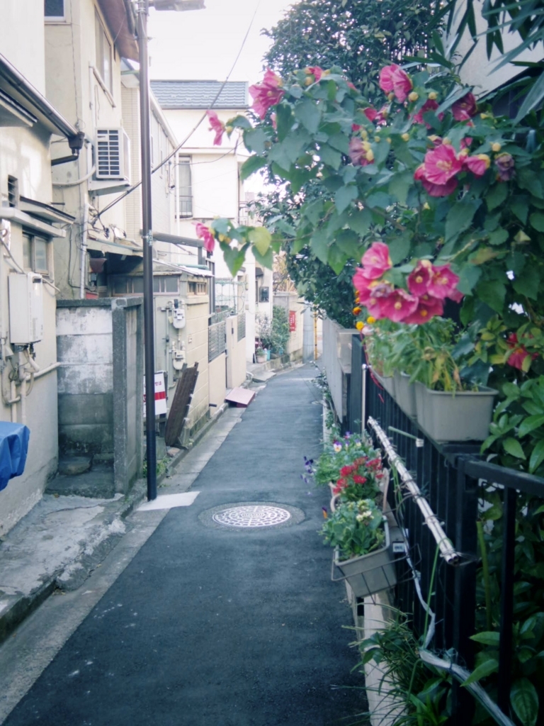 f:id:tokyo100k:20171219232026j:plain f:id:tokyo100k:20171219232026j:plain