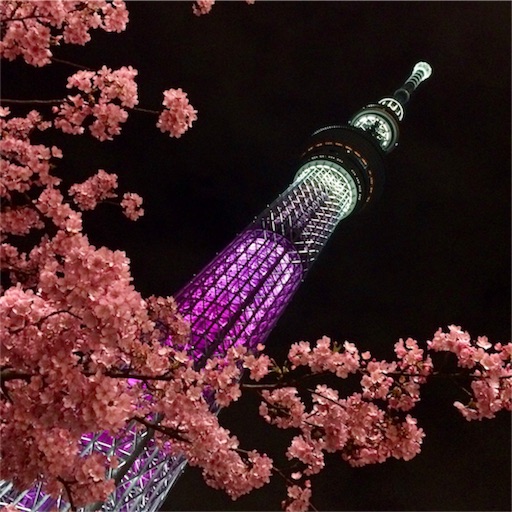 f:id:tokyo100k:20180307000059j:image