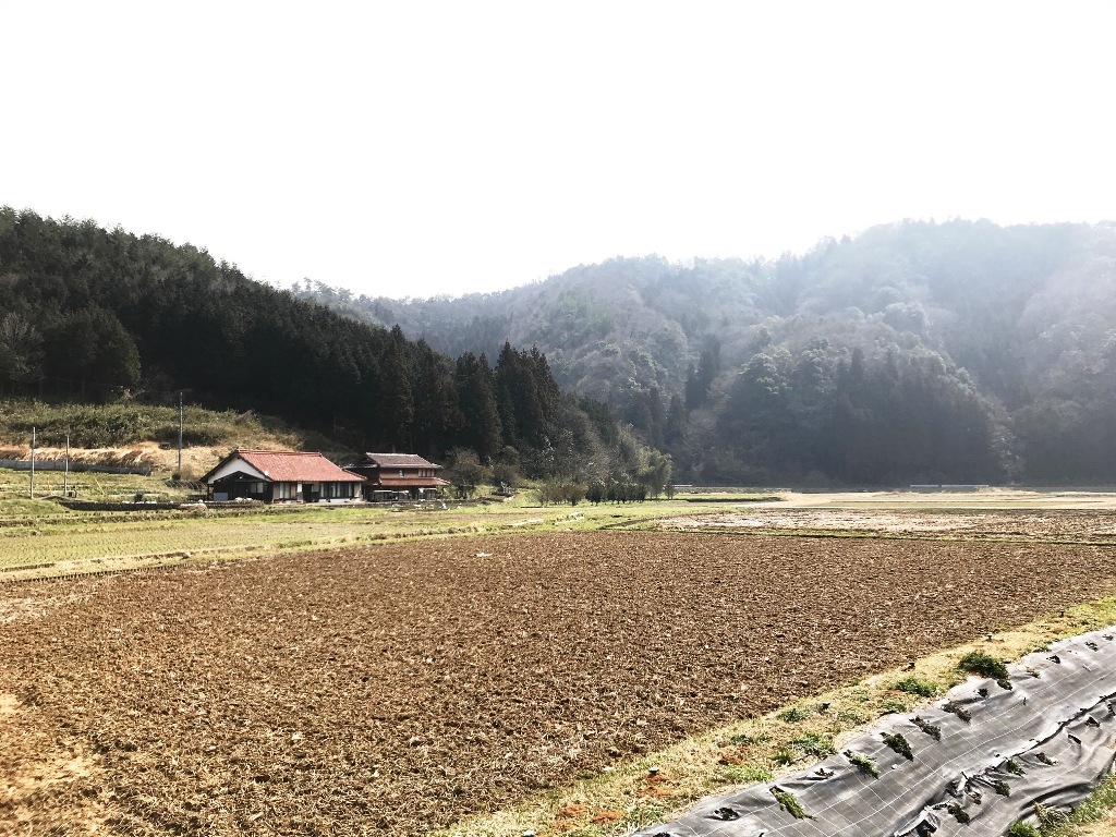 f:id:tokyo100k:20180313112715j:plain