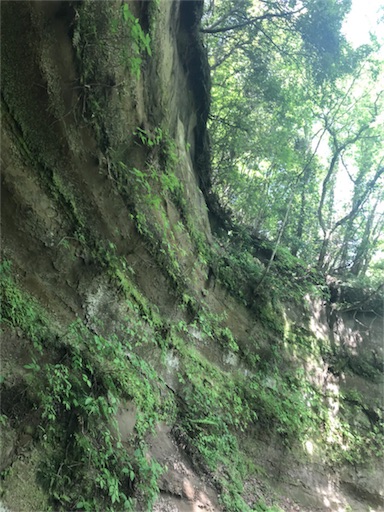 f:id:tokyo100k:20180507220408j:plain f:id:tokyo100k:20180507220408j:plain