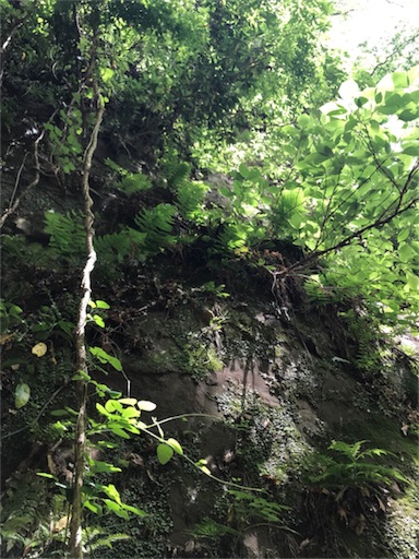 f:id:tokyo100k:20180507220440j:plain f:id:tokyo100k:20180507220440j:plain