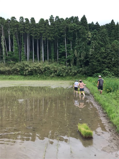 f:id:tokyo100k:20180520230151j:image f:id:tokyo100k:20180520230151j:image