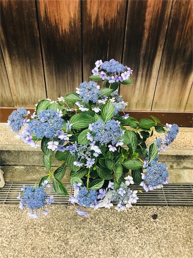 f:id:tokyo100k:20180624225948j:plain f:id:tokyo100k:20180624225948j:plain