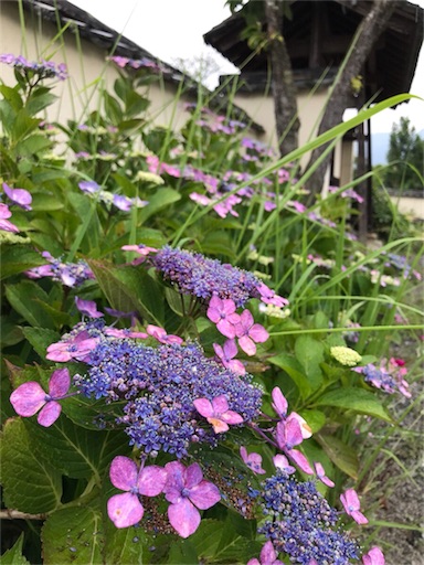 f:id:tokyo100k:20180624230658j:plain f:id:tokyo100k:20180624230658j:plain