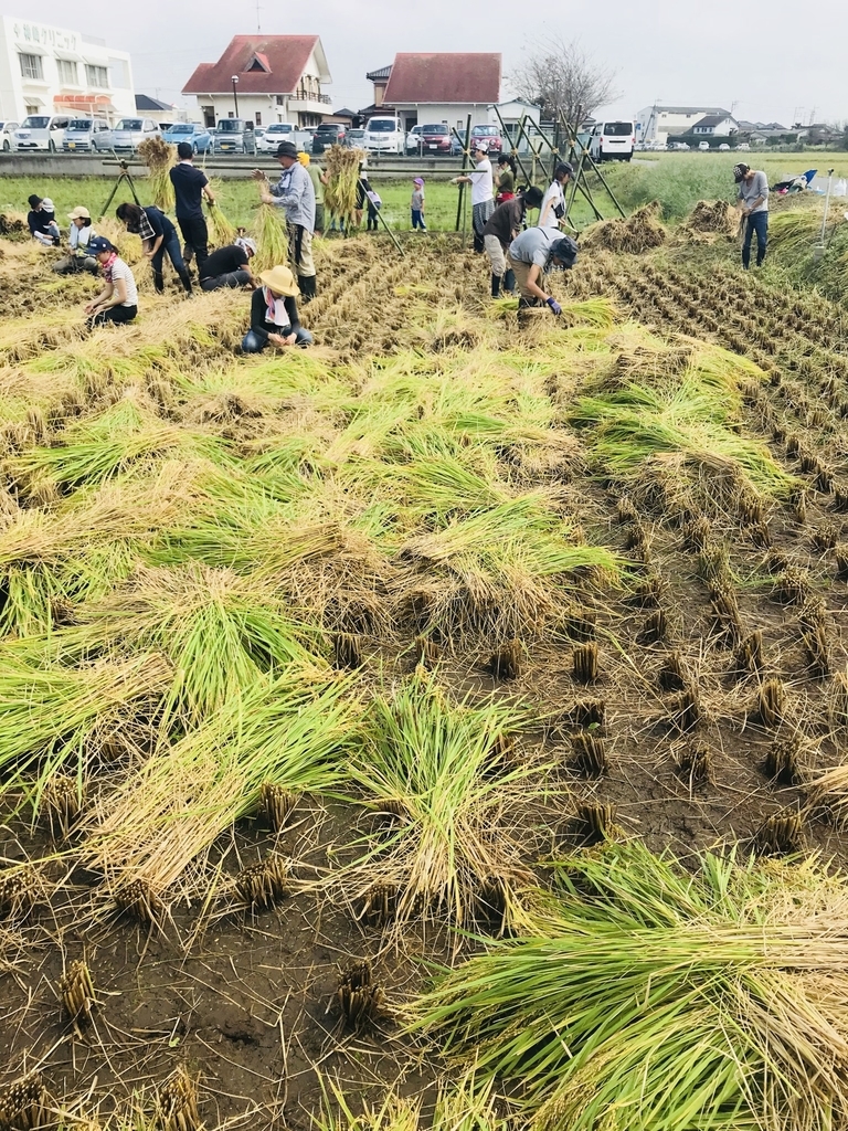 f:id:tokyo100k:20181008101229j:plain f:id:tokyo100k:20181008101229j:plain
