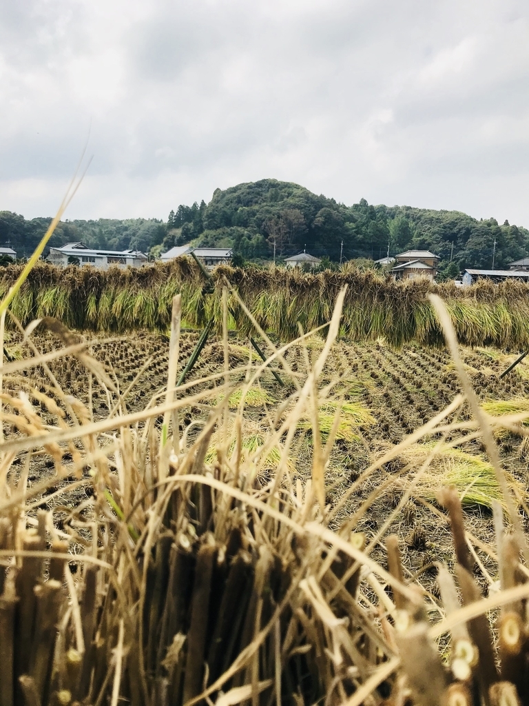 f:id:tokyo100k:20181008101300j:plain f:id:tokyo100k:20181008101300j:plain