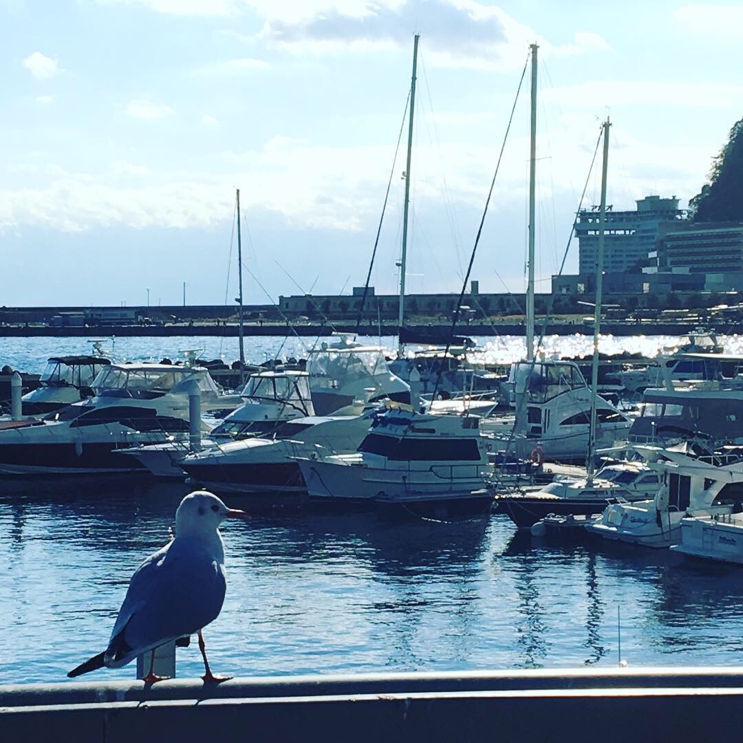 f:id:tokyo100k:20190102194749j:image