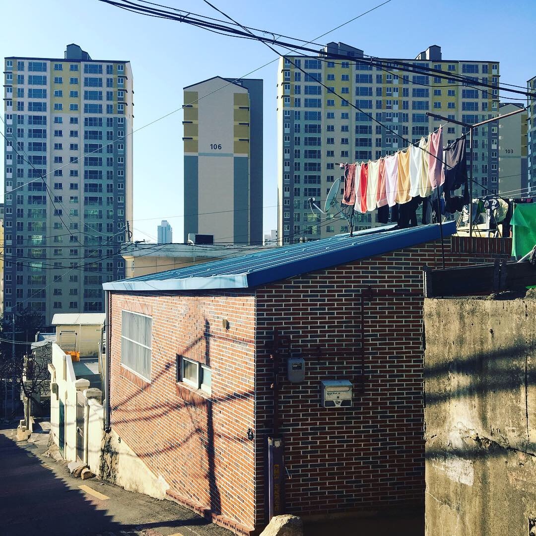 f:id:tokyo100k:20190107154953j:image f:id:tokyo100k:20190107154953j:image
