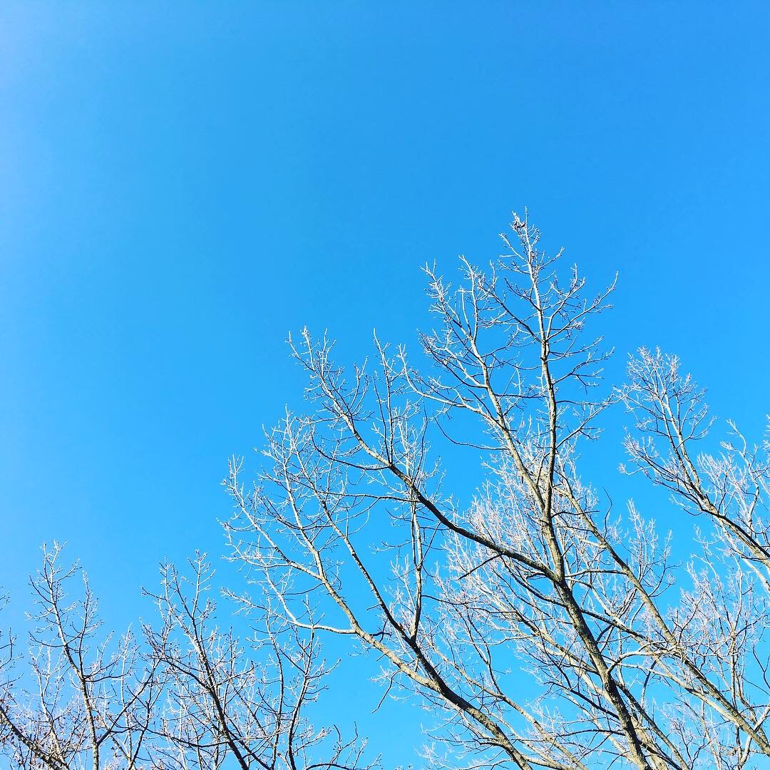 f:id:tokyo100k:20190107155603j:image f:id:tokyo100k:20190107155603j:image