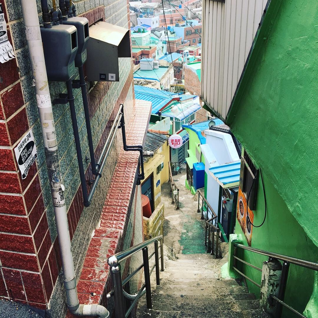 f:id:tokyo100k:20190110160052j:image f:id:tokyo100k:20190110160052j:image