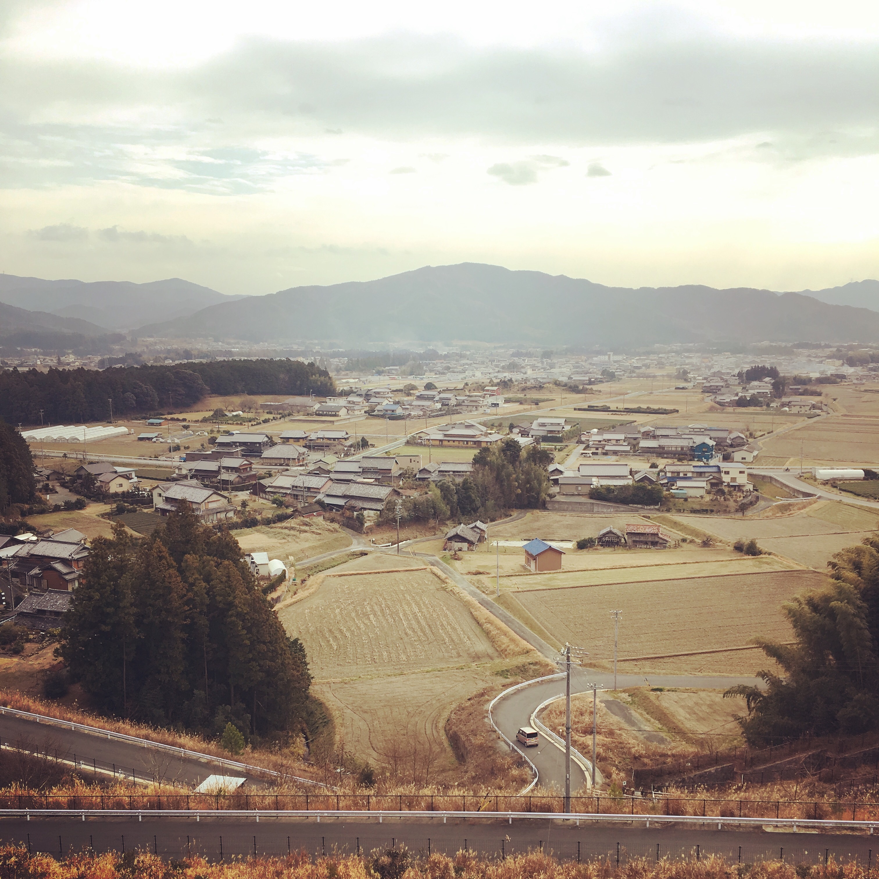 f:id:tokyo100k:20190113204240j:plain